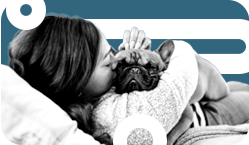 Girl petting puppy Girl petting puppy